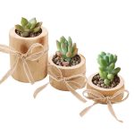 Accessoire en bois pour ambiance chaleureuse