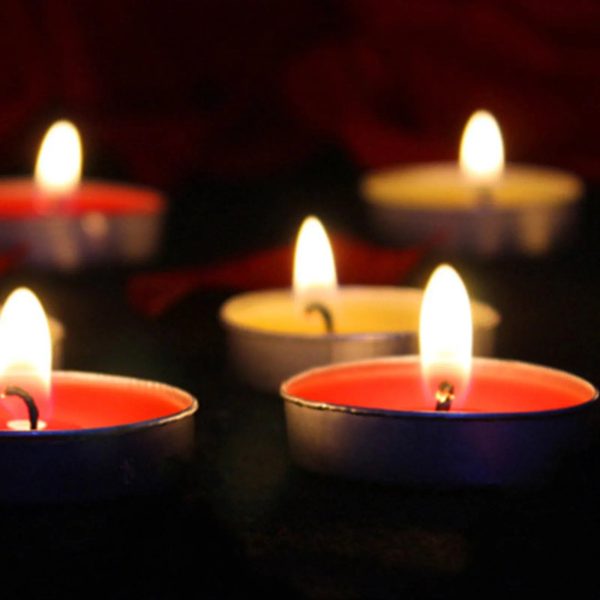 Bougies parfumées citronnelle - 50 unités