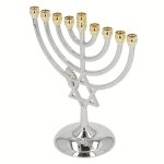 Menorah 7 branches en forme d'étoile de David